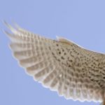 投資結果状況　実現損益　推移